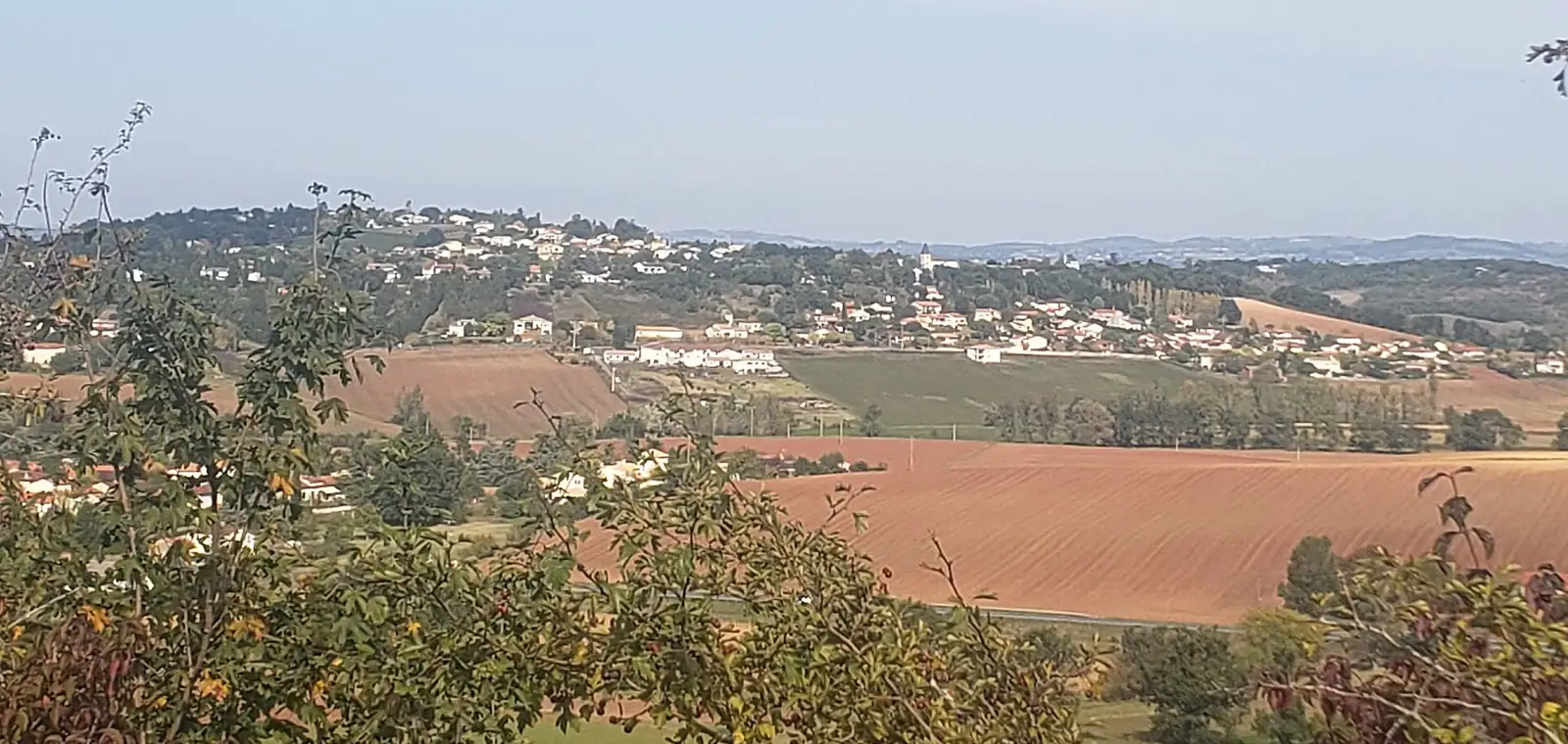 Création de site internet à Puygouzon (81990)